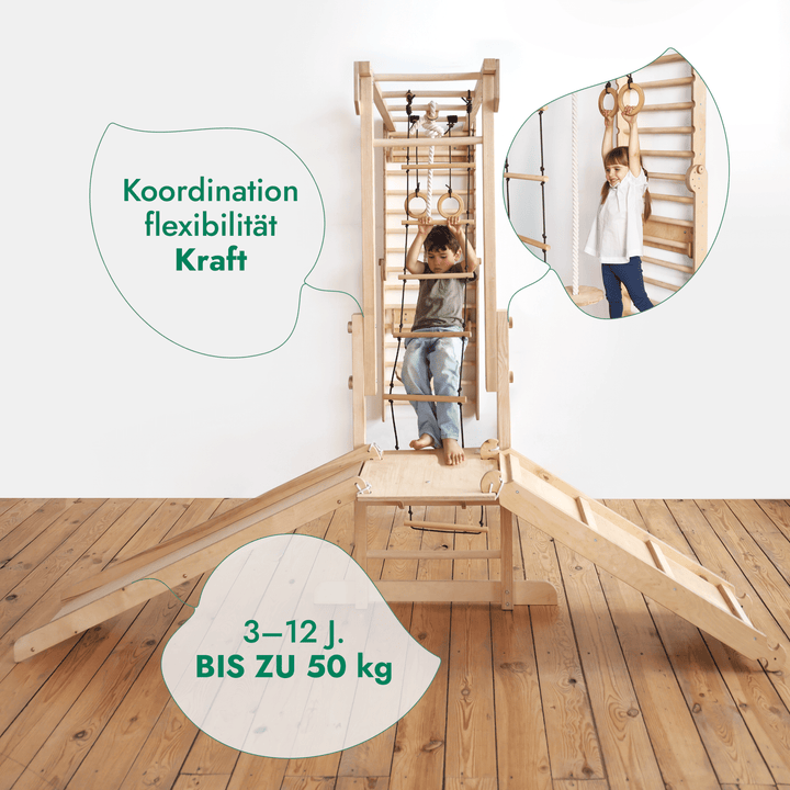 Jungle Gym Play Set