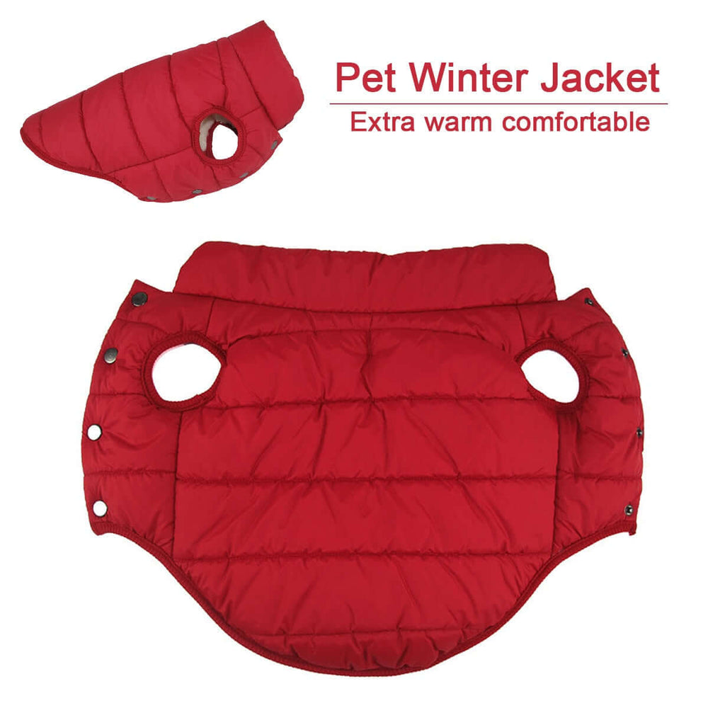 winter pet coat for dogs